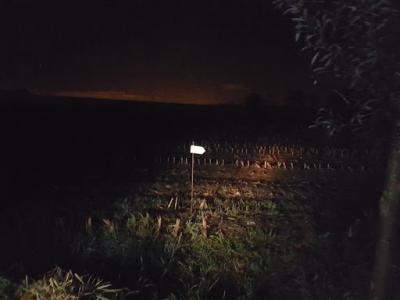 20161021_213905 (800x600)